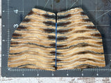 Mammoth Tooth Large