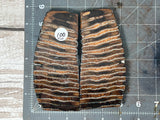 Mammoth Tooth Xtra Large