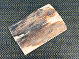 Mammoth Ivory Medium