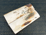 Mammoth Ivory Medium