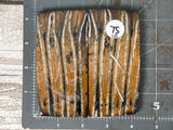 Mammoth Tooth Large