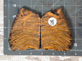 Mammoth Tooth Large