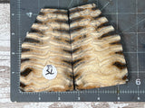 Mammoth Tooth Large