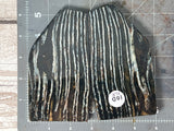 Mammoth Tooth Xtra Large