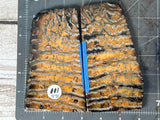 Mammoth Tooth Xtra Large