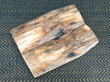 Mammoth Ivory Medium