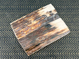 Mammoth Ivory Medium