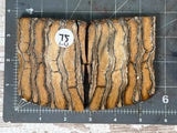 Mammoth Tooth Large