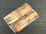 Mammoth Ivory Medium