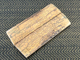 Mammoth Ivory Medium
