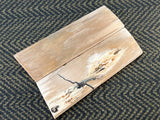 Mammoth Ivory Medium