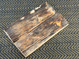 Mammoth Ivory Medium