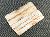 Mammoth Ivory Medium