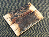 Mammoth Ivory Medium