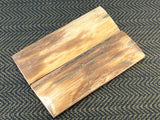 Mammoth Ivory Medium