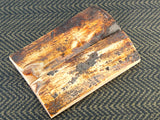 Mammoth Ivory Medium