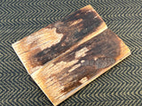 Mammoth Ivory Medium