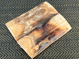 Mammoth Ivory Medium