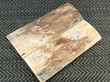Mammoth Ivory Medium