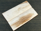 Mammoth Ivory Medium