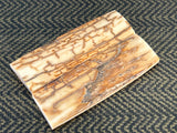 Mammoth Ivory Medium