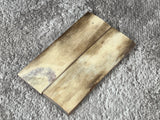 Mammoth Ivory Small