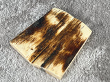 Mammoth Ivory Small