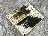 Mammoth Ivory Small