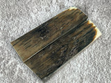 Mammoth Ivory Small